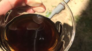 むのじじょうに新作♪黒胡麻もち麦茶（4コマ漫画風）