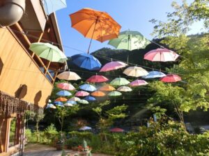 鯉のぼりの次はパラソル！？｜グリーンエコー笠形