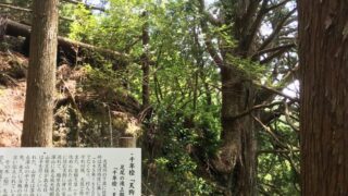 天狗の止まり木