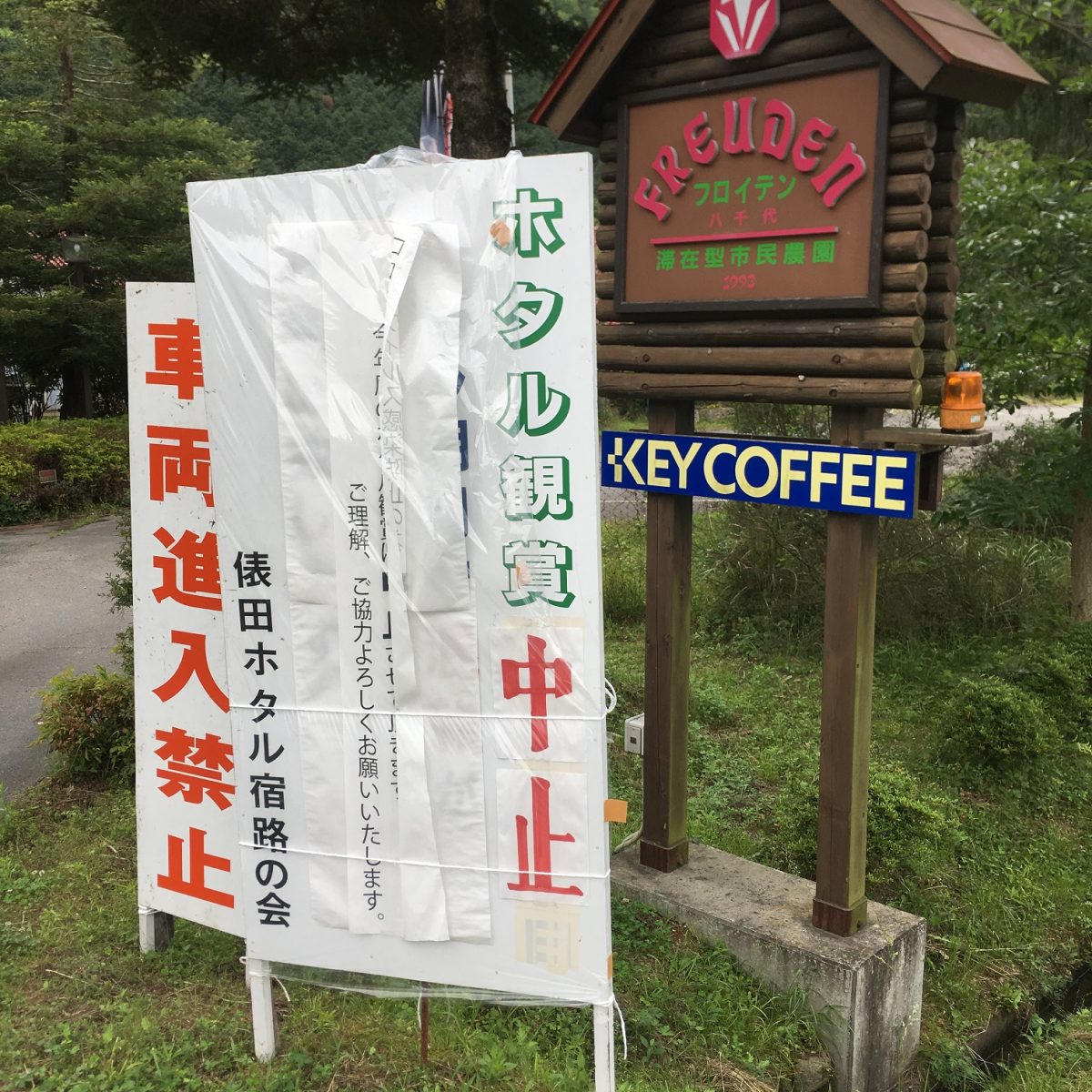 多可町 行ってきた 幻想的な光の舞 ホタル乱舞 フロイデン八千代 いいものタウン 兵庫県神崎郡と近郊エリアのニュースとトピック