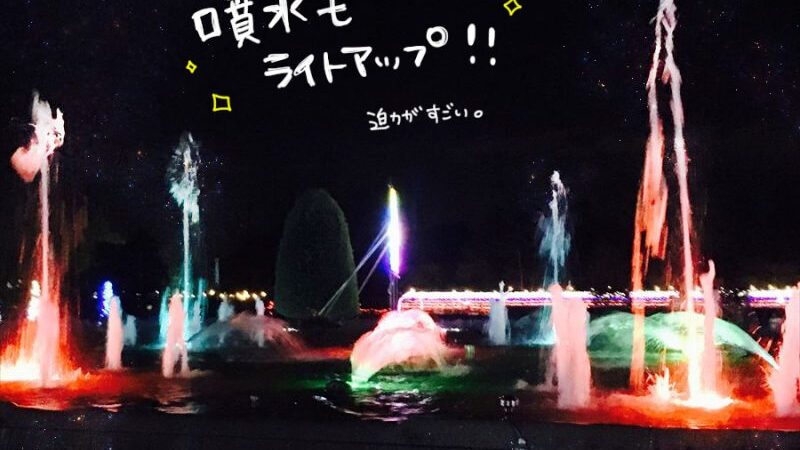サマーイルミネーション 2019｜兵庫県立フラワーセンター