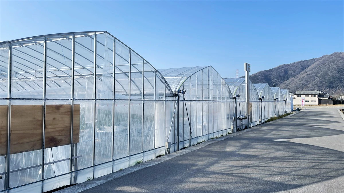 にっしーFarm
