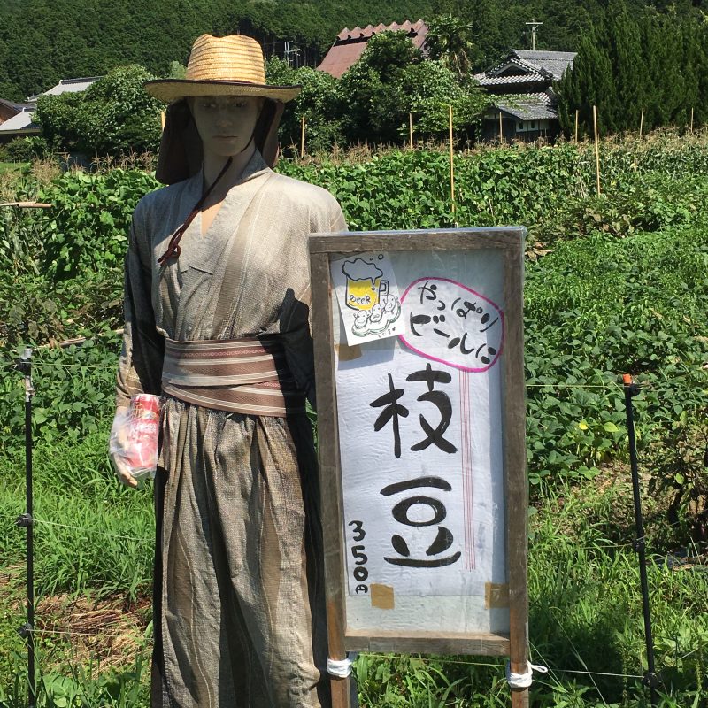 和装なイケメンマネキンがお出迎え。枝豆もあるよ!|かまださん家のぶどう園