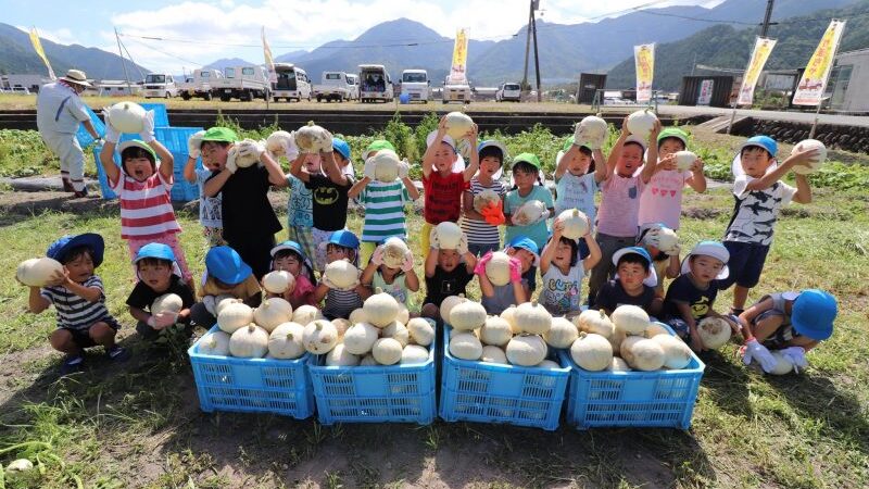 『銀馬車かぼちゃプロジェクト』の白皮カボチャを収穫｜神崎保育園