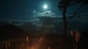 【砥峰高原観月会】見どころとアクセス｜松明に照らされるススキと幻想的な月のあかり