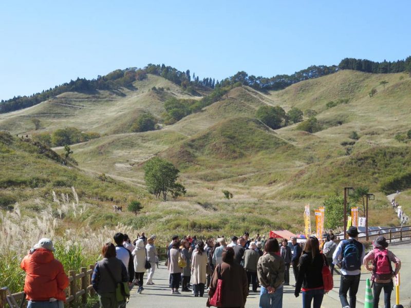 砥峰高原ススキまつり2019が10月20日（日）に開催。
