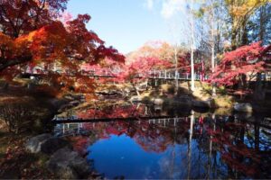 紅葉期間中はライトアップ｜多可町余暇村公園