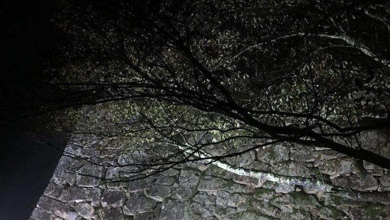 朝来市|竹田城跡ライトアップ。秋雨の夜に浮かぶ天空の城