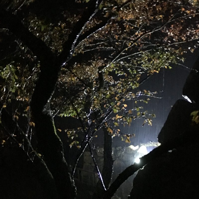 朝来市｜竹田城跡ライトアップ。秋雨の夜に浮かぶ天空の城