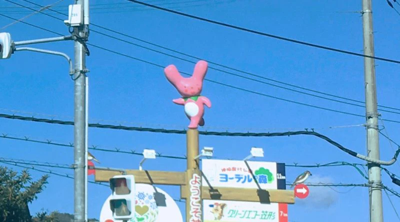 カーミンこんなピンクでした？