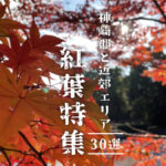 【兵庫県まんなか】定番から穴場までオススメ紅葉スポット30選｜神崎郡と近郊エリア