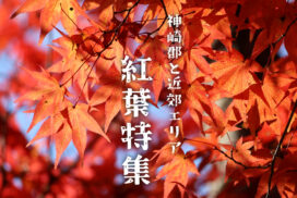 【兵庫県まんなか】定番から穴場までオススメ紅葉スポット30選｜神崎郡と近郊エリア