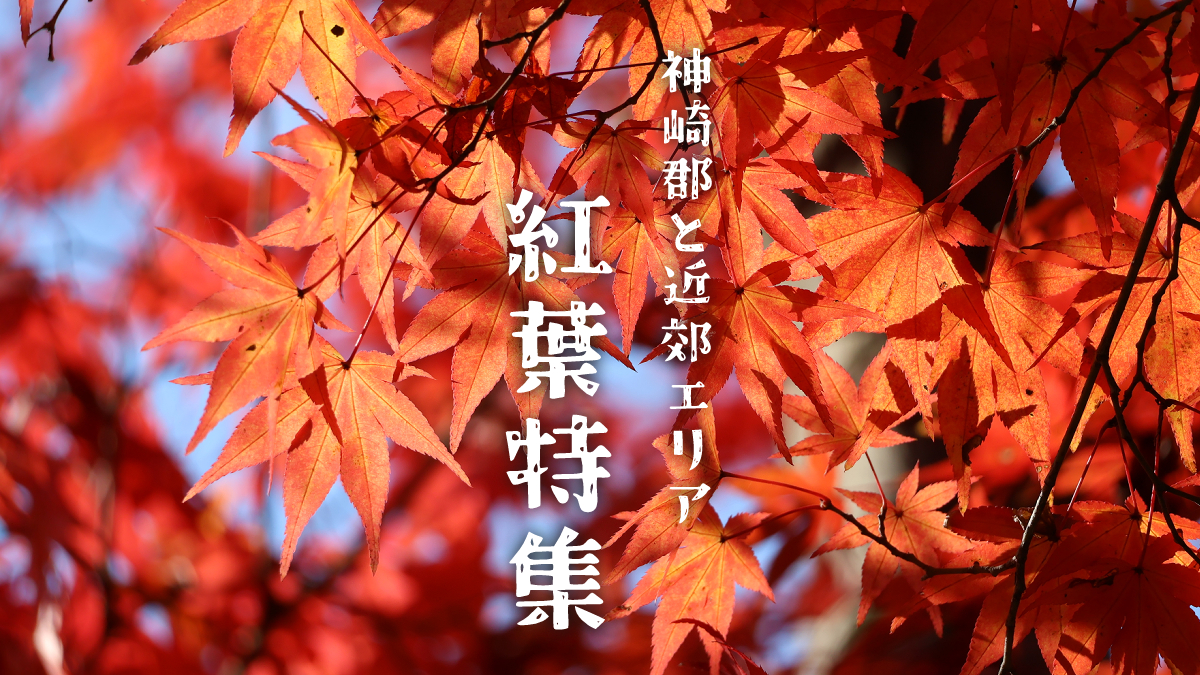 【兵庫県まんなか】定番から穴場までオススメ紅葉スポット30選｜神崎郡と近郊エリア