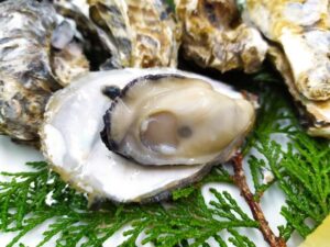 かきフェア開催｜山城の郷 ～竹田城跡に最も近いお立寄処～