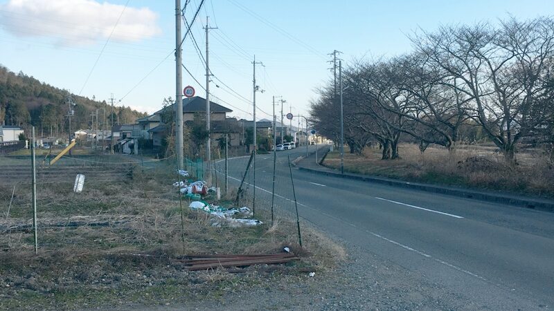 福崎町高岡でおもわず目に止まるサザンカ林（山茶花）