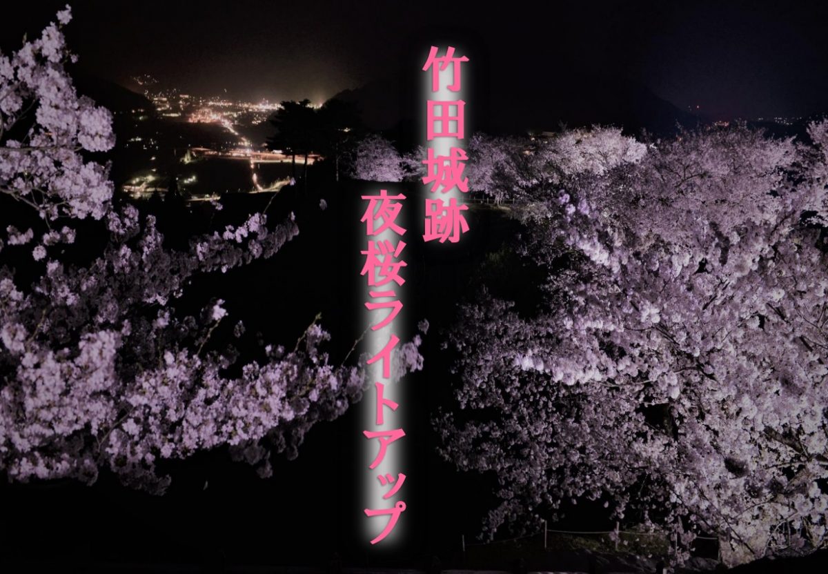 竹田城跡　夜桜ライトアップ