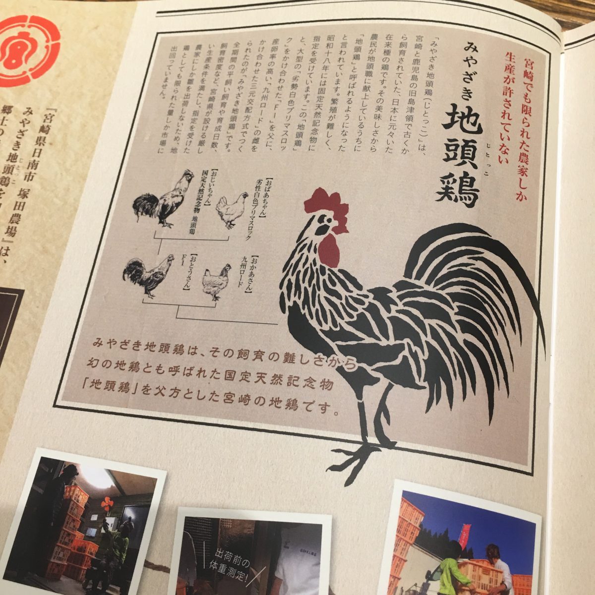 【姫路市】塚田農場 姫路みゆき通り店｜宮崎県の地頭鶏（じとっこ）を使った地鶏料理