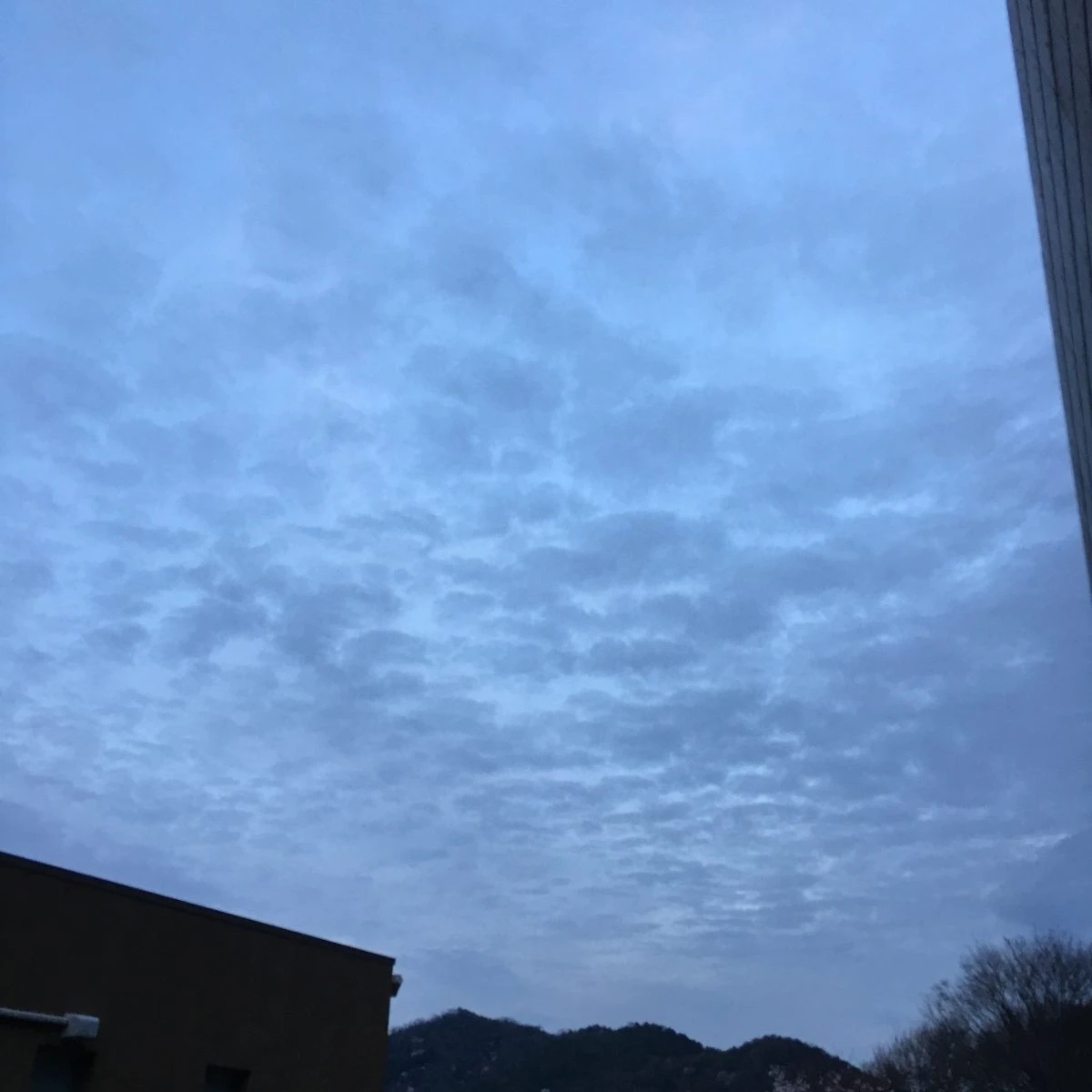 【福崎町】季節はずれな「うろこ雲」？それとも「ひつじ雲」？