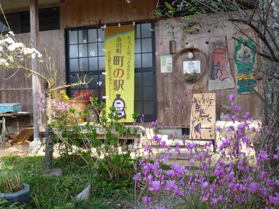 【市川町】桜と春の花々の美しい隠れ家のような2ヶ所をピックアップ