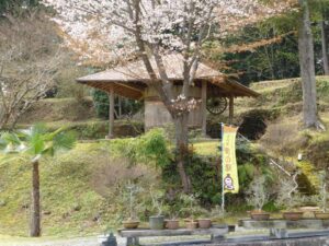【市川町】桜と春の花々の美しい隠れ家のような2ヶ所をピックアップ