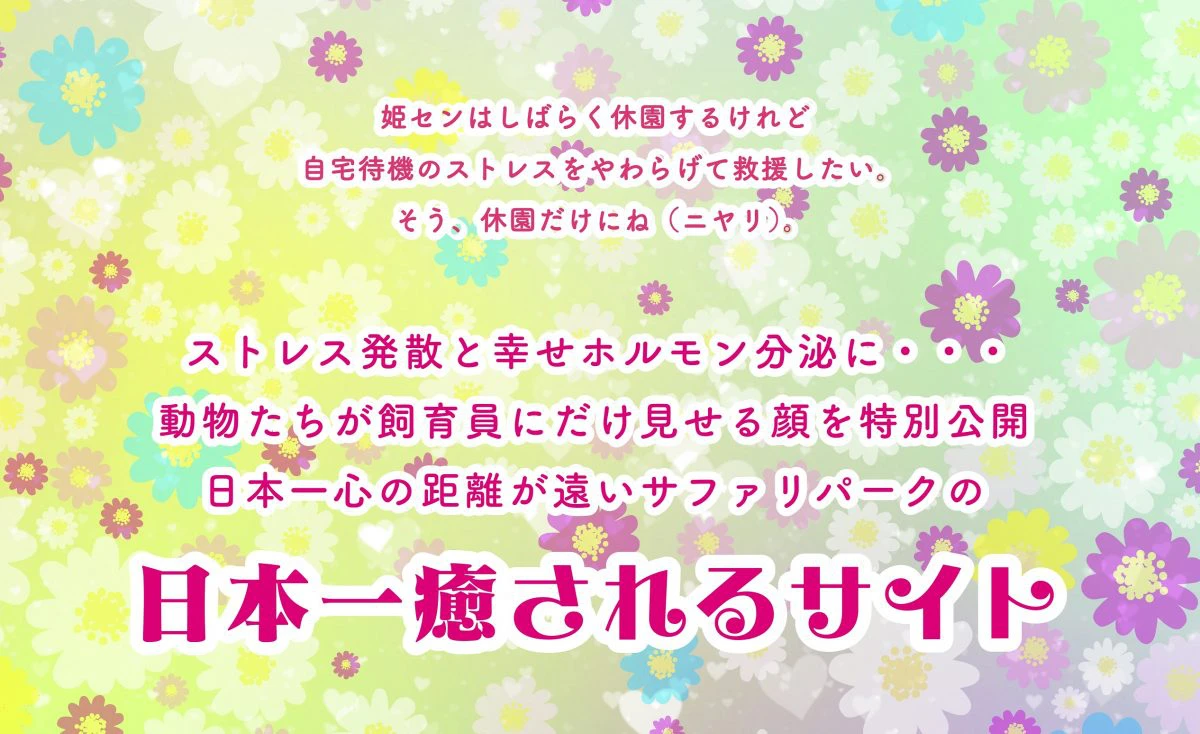 【姫路市】日本一心の距離が遠いサファリパークが日本一心温まるサイトに｜姫路セントラルパーク