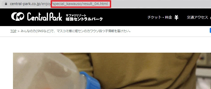【姫路市】姫路セントラルパーク｜コツメカワウソの赤ちゃんのかわいさを届けたい
