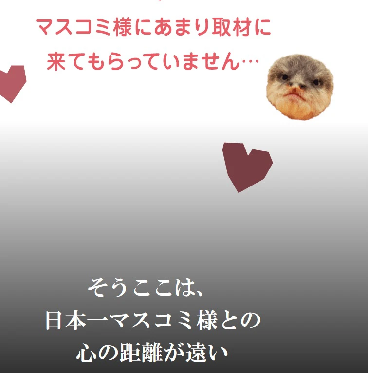 姫路セントラルパーク｜みんな、オラに力を！ 日本一マスコミとの心の距離が遠い サファリパーク