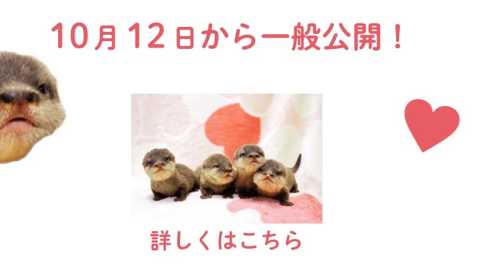 姫路セントラルパーク｜みんな、オラに力を！ 日本一マスコミとの心の距離が遠い サファリパーク
