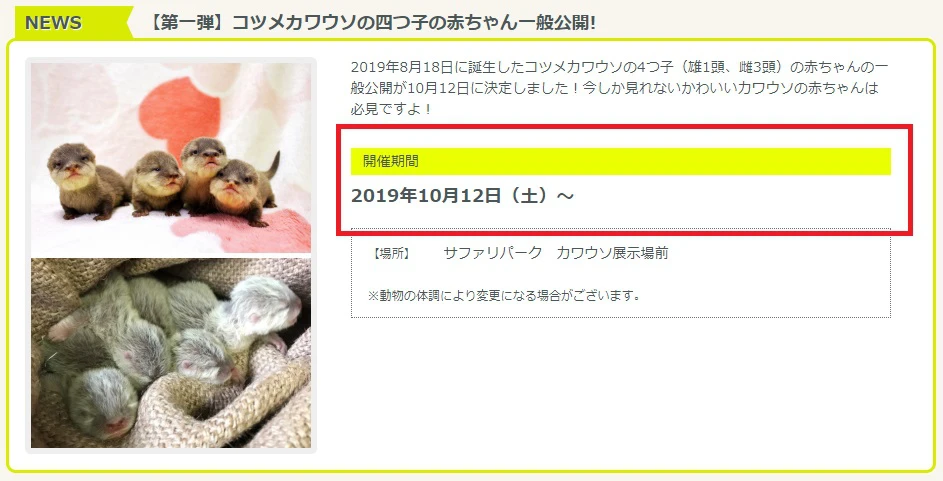 姫路セントラルパーク｜みんな、オラに力を！ 日本一マスコミとの心の距離が遠い サファリパーク