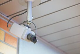 【兵庫県】兵庫県警発表の不審者やクマ、イノシシなどの目撃情報