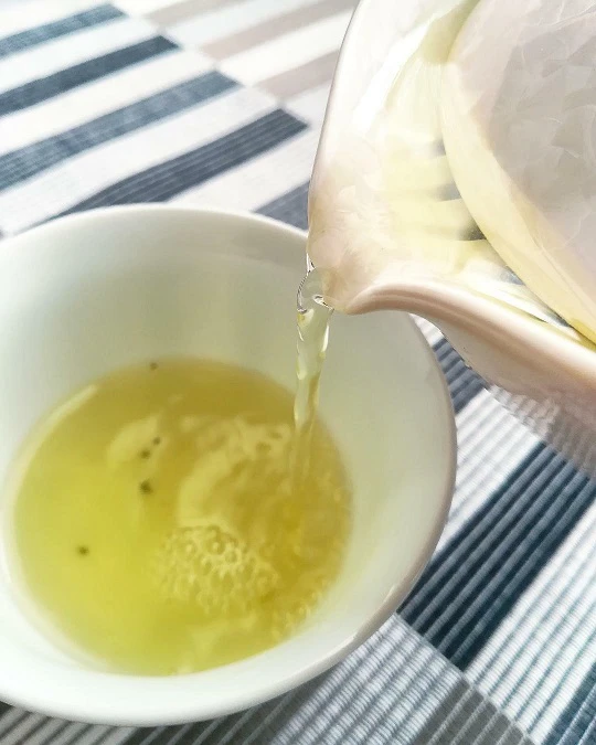 【神河町】仙霊茶の茶園と吉冨製茶工場｜アポ無しいきなり凸シリーズ