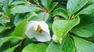 季節の移ろいを感じながら