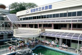 3月14日限定！新駅開業を記念して姫路市立水族館が入館料無料に