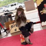 【朝来市】「道の駅 但馬のまほろば」猿回し 開催