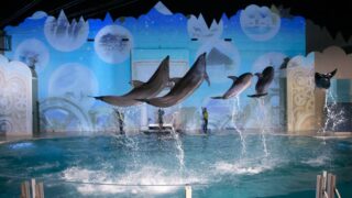 【スマスイ】9月の4連休は20時まで延長営業。「イルカナイトライブ」アンコール公演も