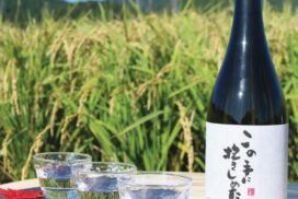 【多可町】純米吟醸「この手に抱きしめたい」｜歌手、加藤登紀子さんブランド酒