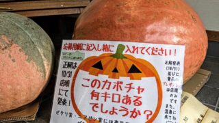 【朝来市】カボチャ何キロ？｜黒川温泉