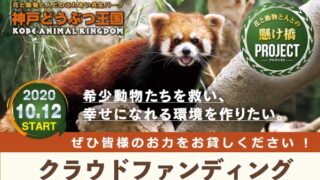 【神戸どうぶつ王国】クラウドファンディングで「花と動物と人との懸け橋プロジェクト」をスタート