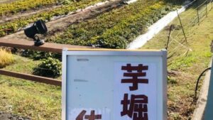 秋の収穫祭「さつまいもフェア」｜天然かさがた温泉せせらぎの湯