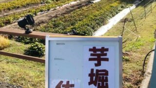 秋の収穫祭「さつまいもフェア」｜天然かさがた温泉せせらぎの湯