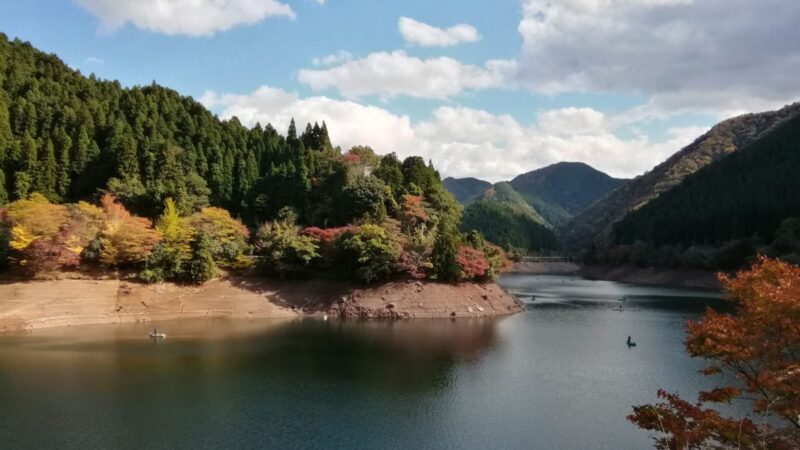 【朝来市】生野町黒川地区に美しい秋の到来