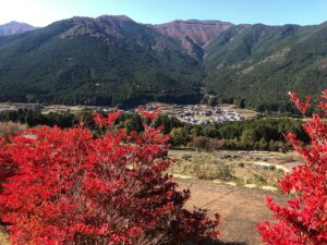 【多可町】青空と真っ赤に染まったドウダンツツジ｜みんなのフォト