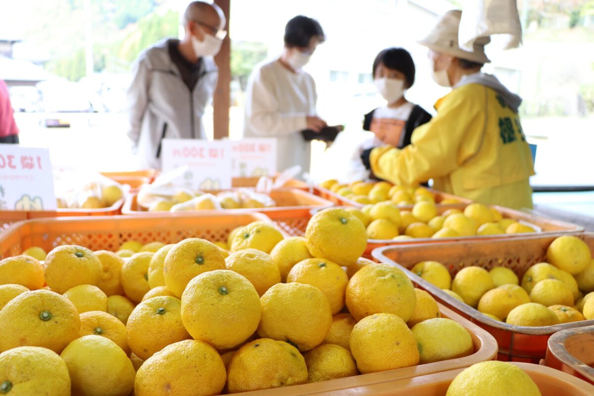 「ゆず直売所」がオープン｜神河町根宇野（みよの）