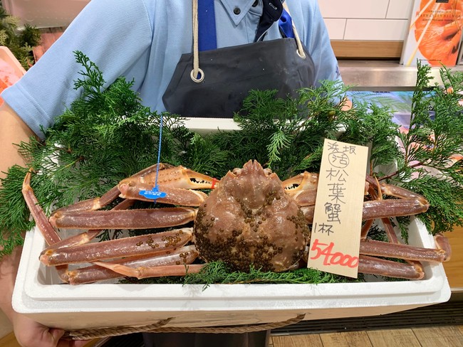 【松葉ガニ】解禁、初競り250万円丨新温泉町浜坂漁港