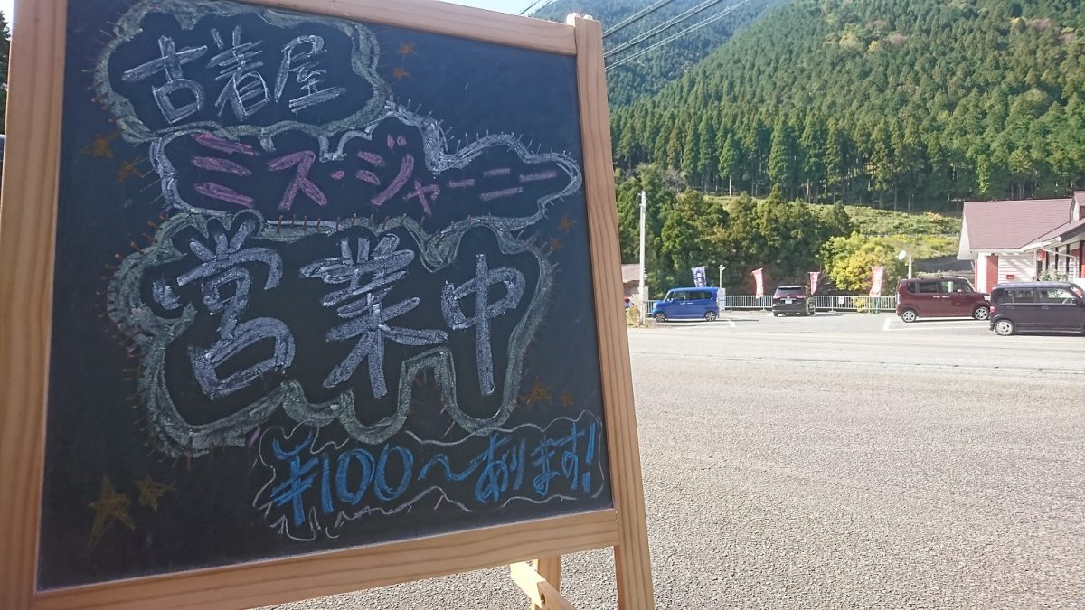 【ワンコイン】新品のレディースシューズ、婦人靴がバカ安|神河町