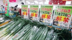 【免疫力アップ】岩津ねぎ販売解禁イベントでネギ三昧！行ってきた