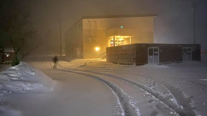 めっちゃえぇ雪降ってます｜峰山高原リゾート ホワイトピーク