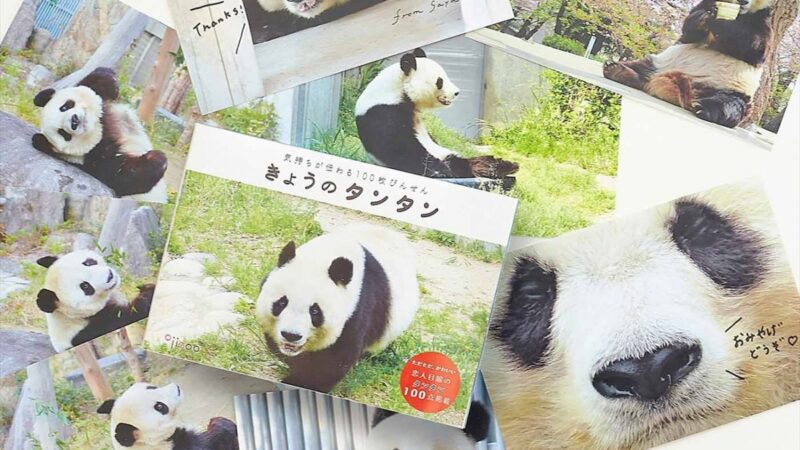 【可愛い】神戸市立王子動物園のパンダ・タンタンの100枚びんせんが発売