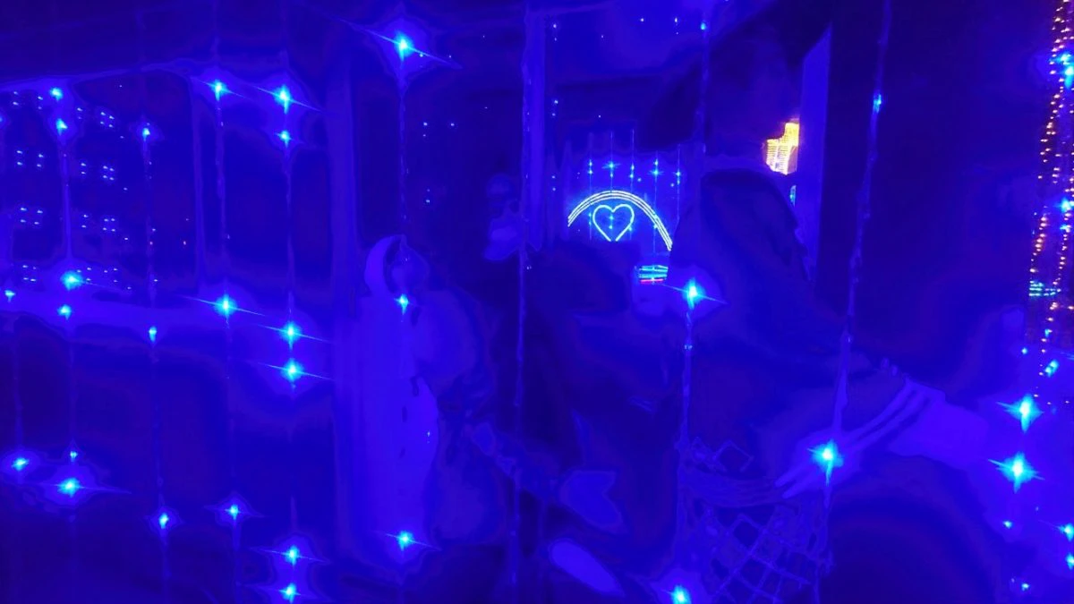 【加西市】気になりすぎる謎スポット、吉甲園｜イルミネーションの先客は案山子だった
