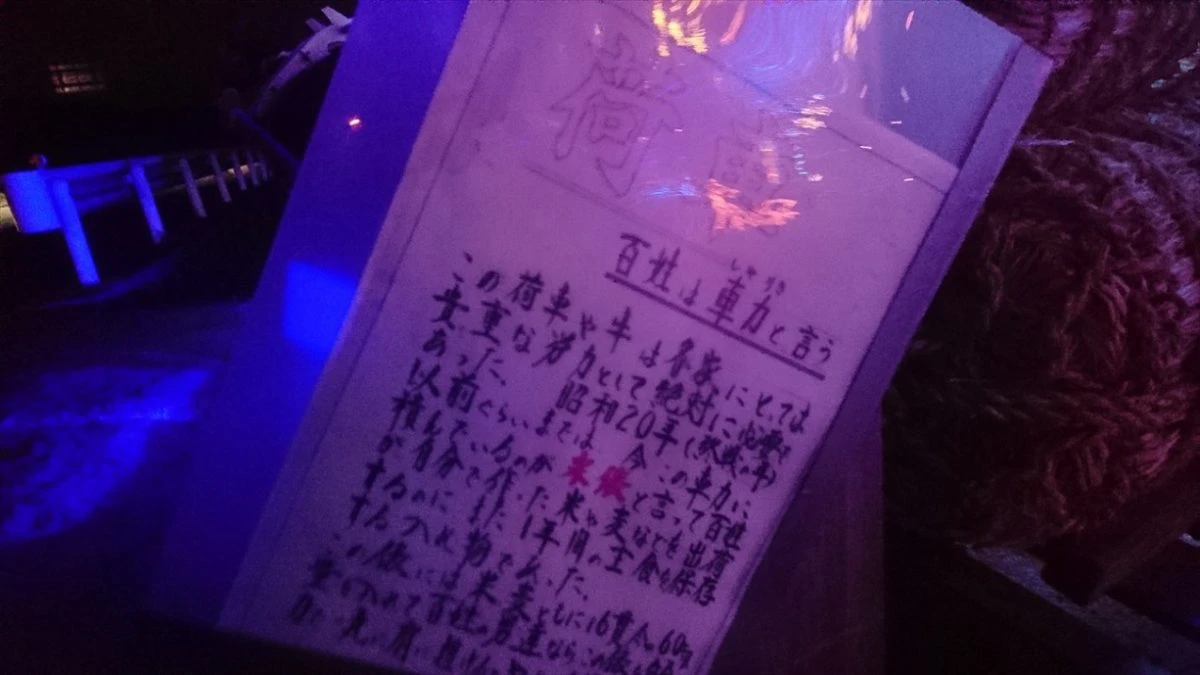 【加西市】気になりすぎる謎スポット、吉甲園｜イルミネーションの先客は案山子だった